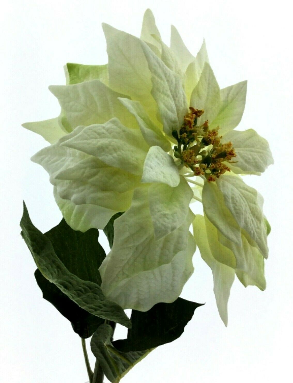 Kunstblume Weihnachtsstern L54cm creme 2Stück