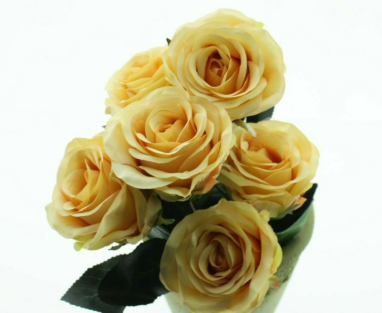 Rose 6x Madame beige L37 cm